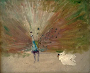 Paon et cygne